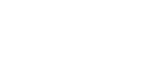 Elvis Art